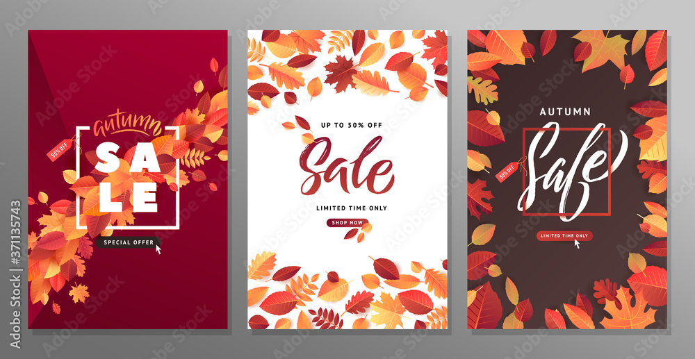 Autumn Fall Season Sale Banner Set. Colorful fall leaves and advertising discount text. Vector background design.