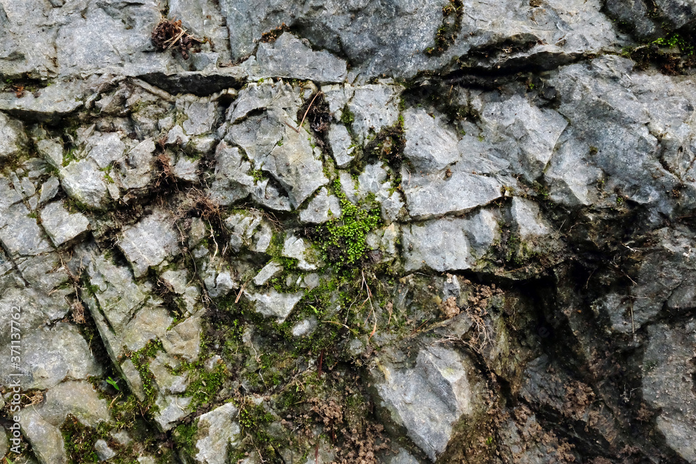 Obraz premium Stone textured as background and rough pattern design