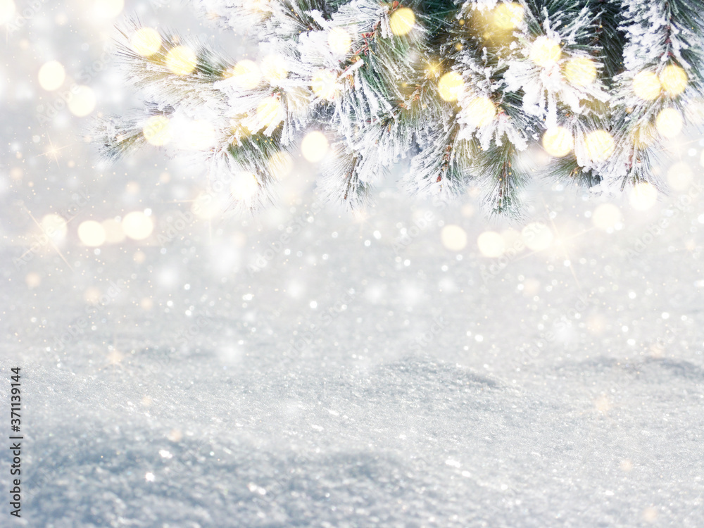 winter christmas background with snow and fir branches frame