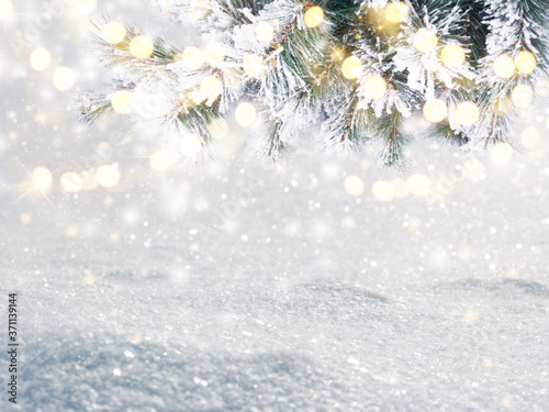 Obraz na płótnie winter christmas background with snow and fir branches frame w salonie