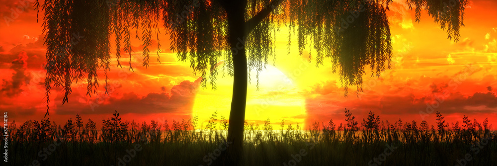 tree on the background of a beautiful sunset tree on the background of a beautiful sunset