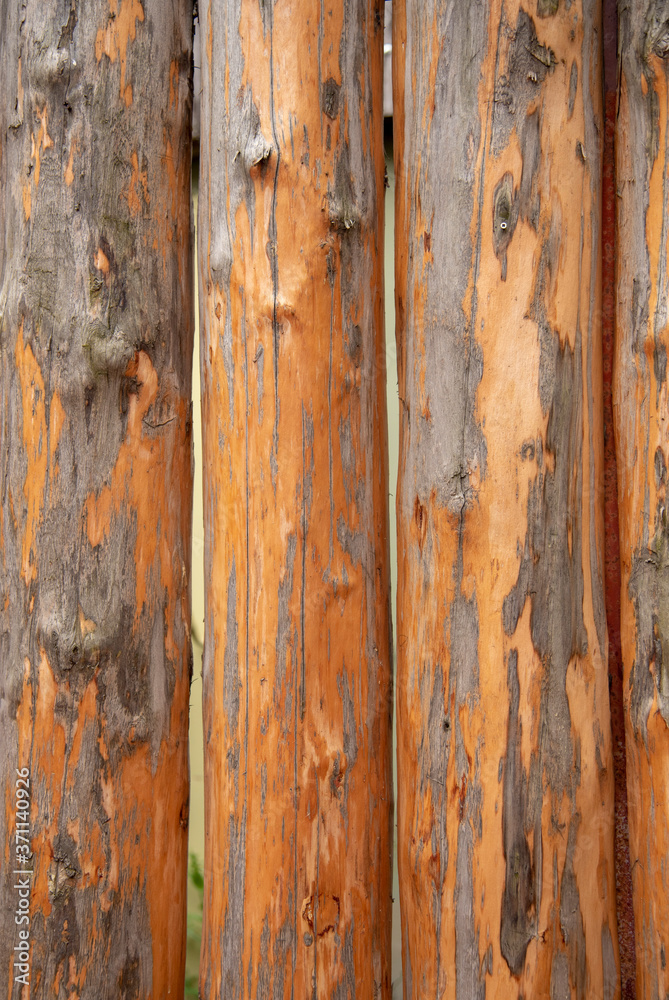 Full frame wooden round logs as backdrop. Full frame wooden round logs as backdrop.