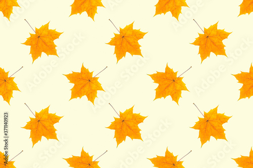 Autumn seamless pattern. Yellow maple leaves on a light yellow background