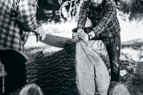 Two brutal bearded foresters