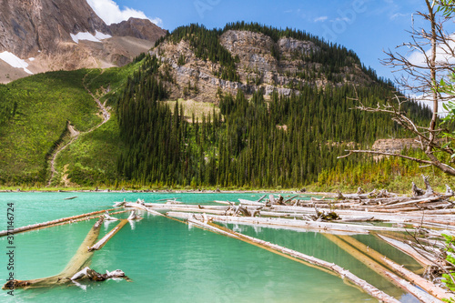 The Rocky Mountains. Dead, fallen trees grace the shore of a   Sherbrook Lake.  Yoho National Park, British Columbia , Canada © krysek