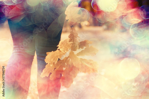 Fotografiet leaf fall autumn / fallen yellow leaves in the hands of a single girl walking in