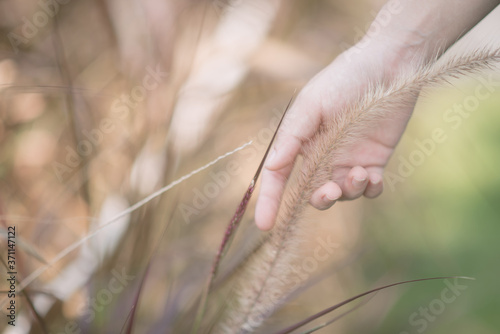 The hand that was holding the grass felt warm.