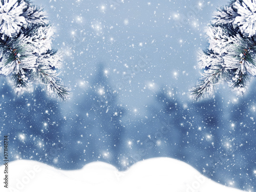 winter christmas background with snow and fir branches frame