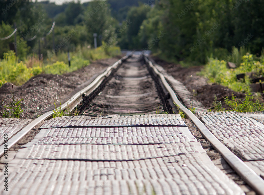 the railway for trains goes far into the forest the railway for trains goes far into the forest