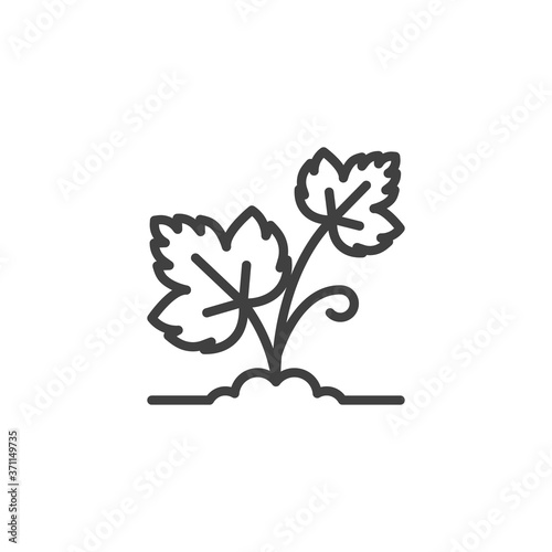 Growing grapes leaf line icon. linear style sign for mobile concept and web design. Vineyard grapes outline vector icon. Symbol, logo illustration. Vector graphics