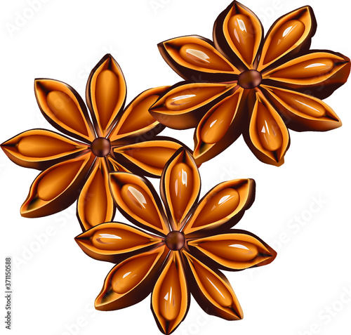 anise