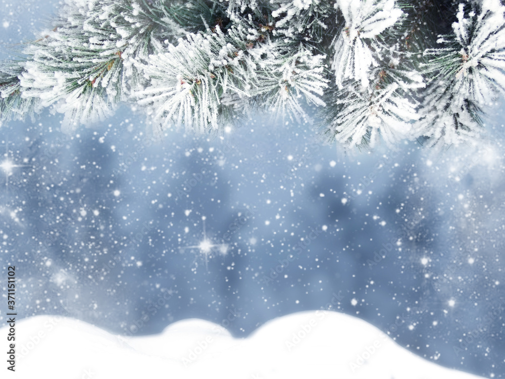 winter christmas background with snow and fir branches frame winter christmas background with snow and fir branches frame