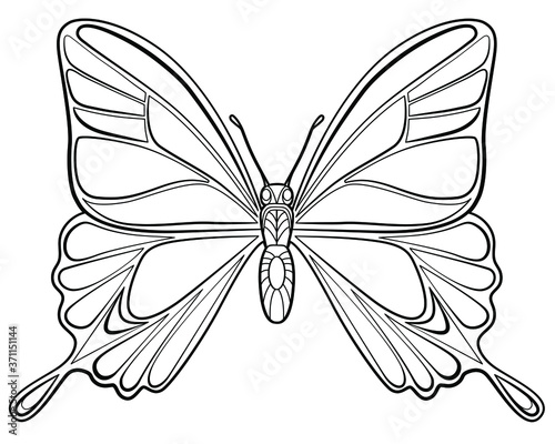 Butterfly coloring page for children and adults. Hand drawing vector illustration in black outline on a white background