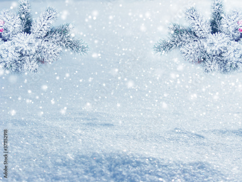 winter christmas background with snow and fir branches frame © Anastasia Tsarskaya