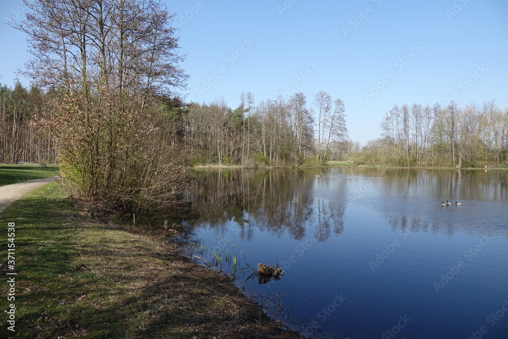 Weiher bei Münster-Breutefeld Weiher bei Münster-Breutefeld