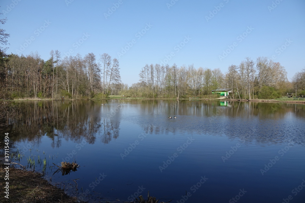 Weiher bei Münster-Breutefeld Weiher bei Münster-Breutefeld