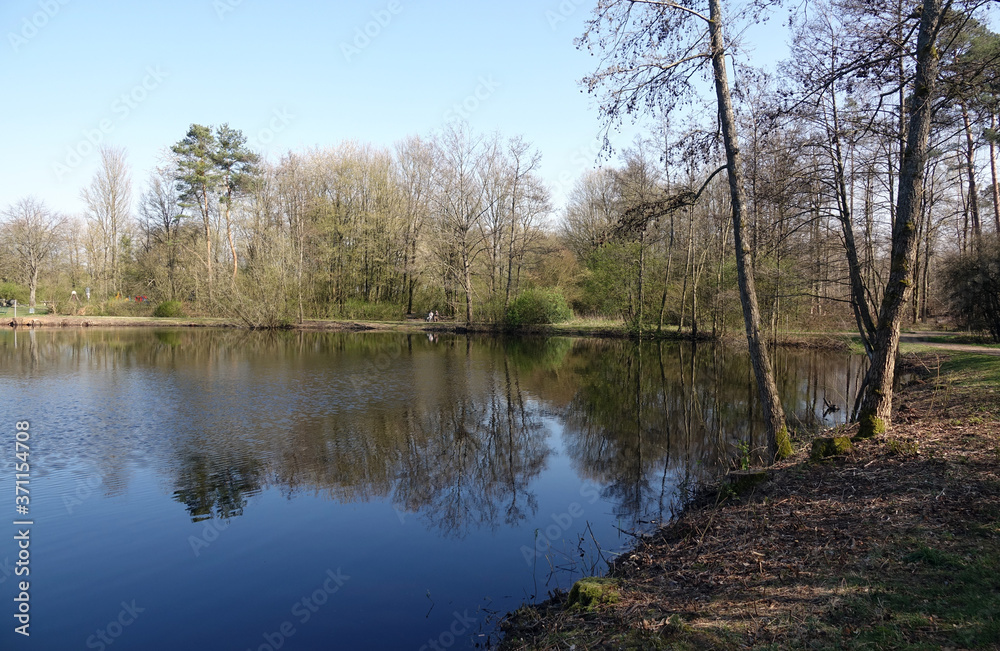 Weiher bei Münster-Breutefeld