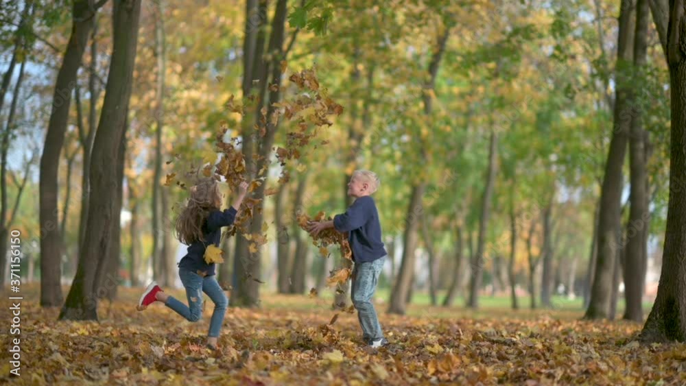 Happy Children Play in the Autumn Park. Boy and Girl Throw and Play a Fallen Leaf Slow Motion. Kids Have Fun in the Outdoors. Childhood Concept. Happy Children Play in the Autumn Park. Boy and Girl Throw and Play a Fallen Leaf Slow Motion. Kids Have Fun in the Outdoors. Childhood Concept.