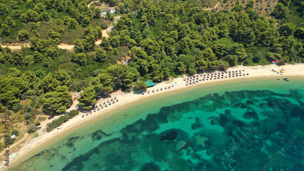 Aerial drone photo of beautiful sandy beach of Agia Eleni next to famous banana beach, Skiathos island, Sporades, Greece