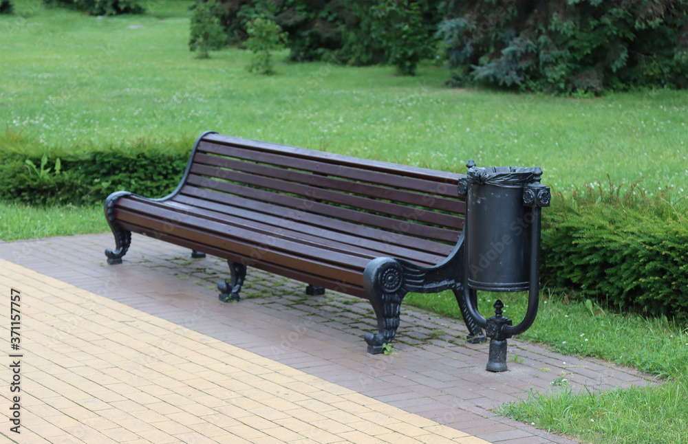 Single bench in the summer garden.