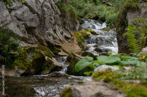 Cascada