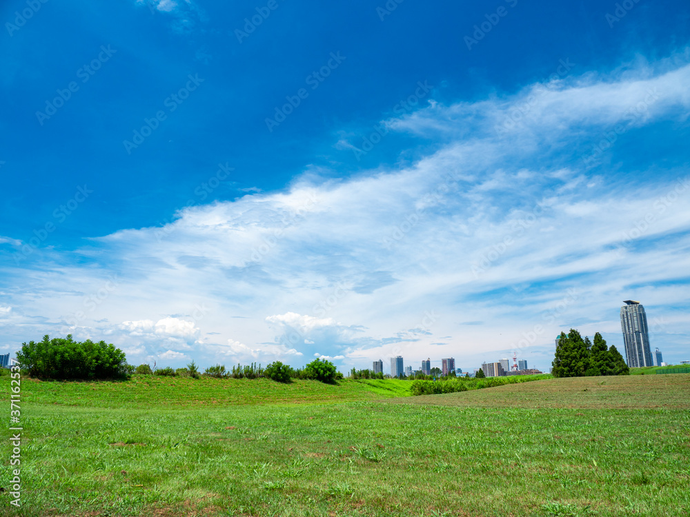 夏の青空広がる埼玉県川口市の風景。荒川河川敷。 夏の青空広がる埼玉県川口市の風景。荒川河川敷。