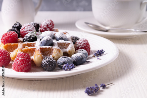 Sweet tasty homemade Belgian Waffle with sugar powder, raspberries, blueberries on white plate with lavender flowers against white wooden surface. Served with beverages. Side view. Soft light.