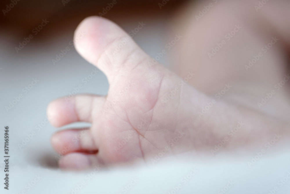 Newborn Baby legs on the bed
Newborn Baby legs on the bed