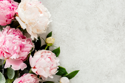 Beautiful pink peony flowers on gray stone table with copy space for your text. Flat style, top view