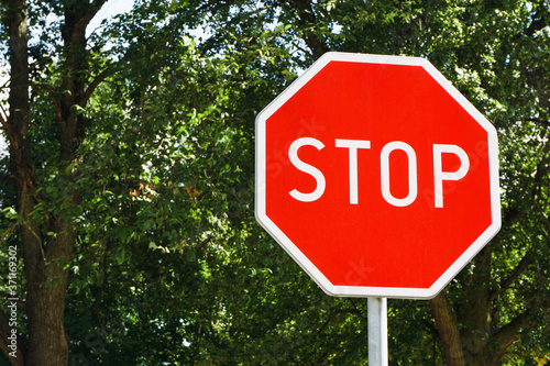 Red stop sign isolated on trees. Traffic information in park. Forest behing the sign. Empty copy space on the left side. Road safety background.