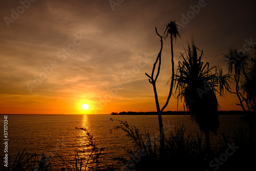 Sunset with silhouettes of wild plants at the foreground, right side. Sun hiding on the left third of the picture. Orange and yellow vivid colors. Fannie bay, Darwin, Northern Territory, Australia photo