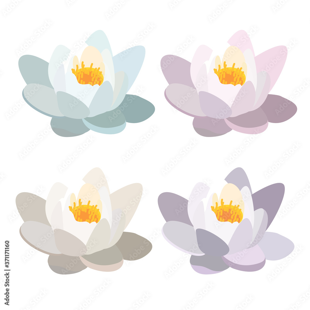 Lotus flower isolated in flat design on white. Lotus flower isolated in flat design on white.
