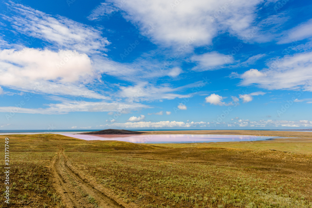 Nice view of the pink lake and the sky with clouds. In the foreground is a field with a dirt road