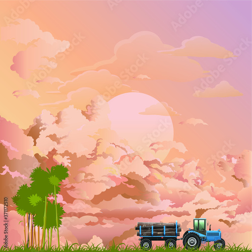 Representation of tropical rain forest deforestation by illegal logging activity set against a dawn or dusk pink sky