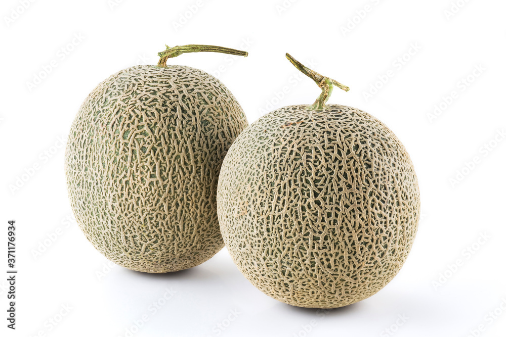 Big Cantaloupe melon isolated on white background Big Cantaloupe melon isolated on white background