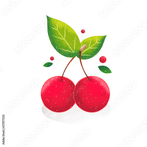 Cherry on white background. Vector card in grunge style. Noise texture shadow. Organic food.
