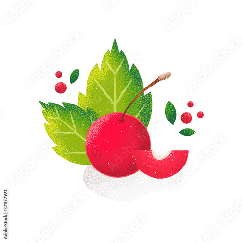 Red cherry on white background. Vector card in grunge style. Noise texture shadow.
