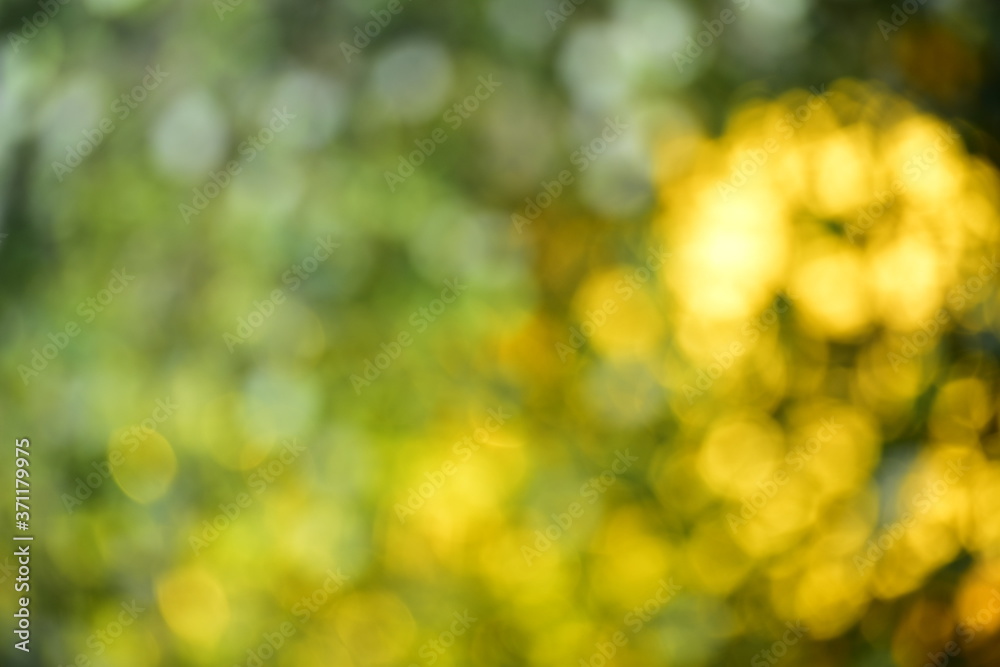 Natural green bokeh background, green blurry background Natural green bokeh background, green blurry background