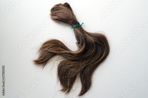 ponytail of cut light brown hair on white