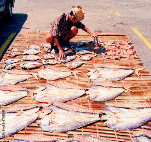 Man drying fish in Thailand. photo