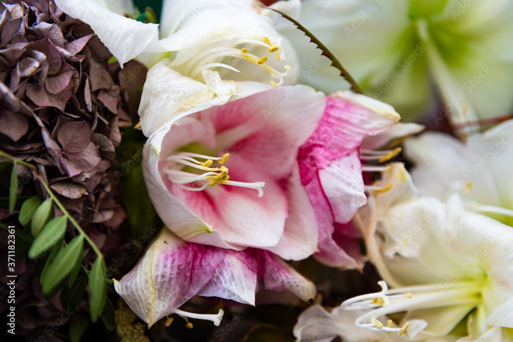 Fototapeta premium Faded flowers still beautiful piled up.