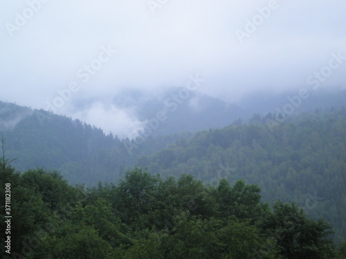 Mountain landscape with trees (ID: 371182308)