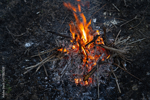 Bonfire with burning tree branches