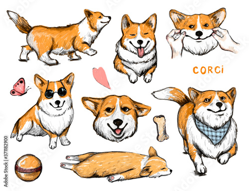 Hand drawn dogs Corgi collection. Funny Corgi stickers set.