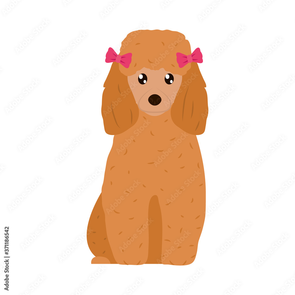 cartoon cocker spaniel dog icon, flat style cartoon cocker spaniel dog icon, flat style