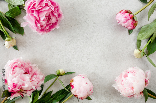 Fototapeta Naklejka Na Ścianę i Meble -  Beautiful pink peony flowers on gray stone table with copy space for your text. Flat style, top view