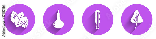 Set Leaf or leaves, Onion, Meteorology thermometer and Leaf or leaves icon with long shadow. Vector.