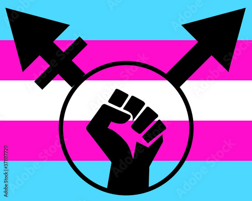colored flag with transgender icon vector illustration