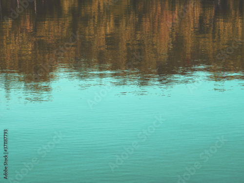 abstract reflection of tree on water in the park, natural background vintage tone