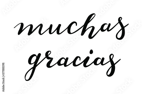 Muchas Gracias - Thank you in Spanish language hand lettering vector